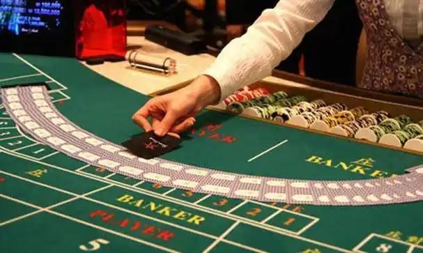 Cumi77 live casino baccarat roulette game show dealer profesional studio streaming